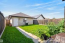 Compact backyard featuring a manicured lawn, concrete pathway, and perimeter wood fencing - 3003 20 Avenue Nw, Edmonton, AB  - Outdoor 