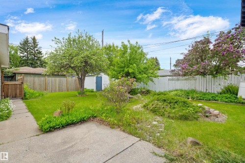 Expansive backyard with a concrete patio and walkway, mature trees, and a manicured lawn - 4001 113 Avenue Nw, Edmonton, AB - Outdoor With Backyard