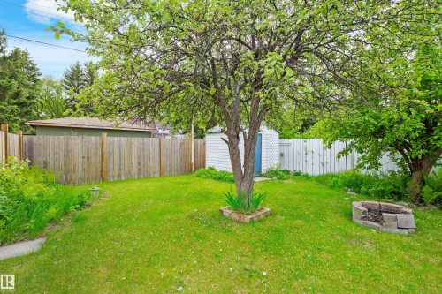 Expansive backyard featuring a mature tree, a white storage shed, a wood fence, and a stone fire pit - 4001 113 Avenue Nw, Edmonton, AB - Outdoor With Backyard