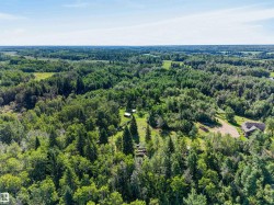 Expansive wooded landscape featuring mature trees - 
