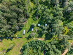 Expansive wooded acreage with established clearings, multiple outbuildings, and a perimeter fence - 