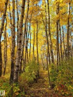 Fall Photo - 