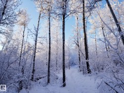 Stillness and Quietness - 