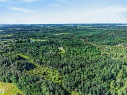 Expansive wooded acreage featuring a distant residence set within a verdant landscape - 