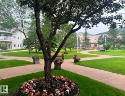 Manicured grounds featuring a mature tree with a vibrant flower bed - 