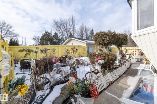 11539 40 Avenue Nw, Edmonton, AB - Outdoor