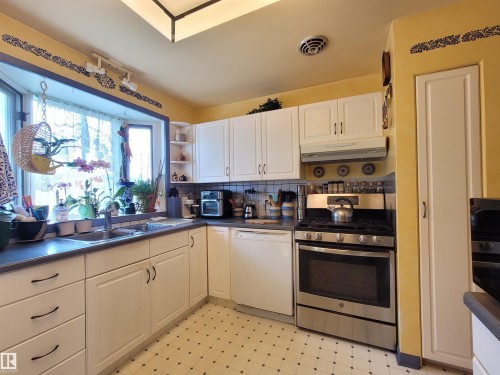 15717 92 Avenue Nw, Edmonton, AB - Indoor Photo Showing Kitchen With Double Sink