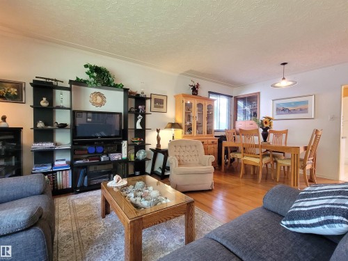 15717 92 Avenue Nw, Edmonton, AB - Indoor Photo Showing Living Room