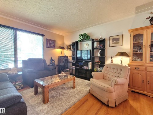 15717 92 Avenue Nw, Edmonton, AB - Indoor Photo Showing Living Room