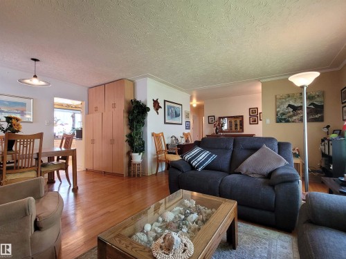 15717 92 Avenue Nw, Edmonton, AB - Indoor Photo Showing Living Room
