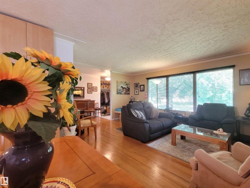 15717 92 Avenue Nw, Edmonton, AB - Indoor Photo Showing Living Room