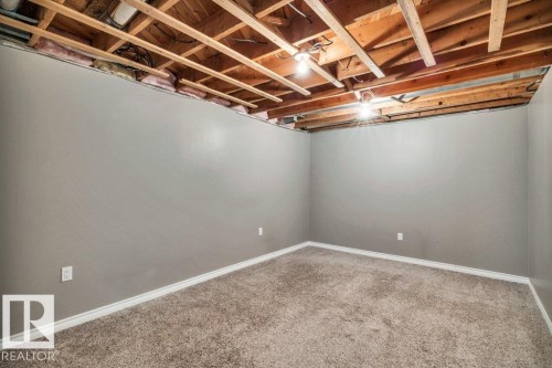 9 Linden St, Spruce Grove, AB - Indoor Photo Showing Basement