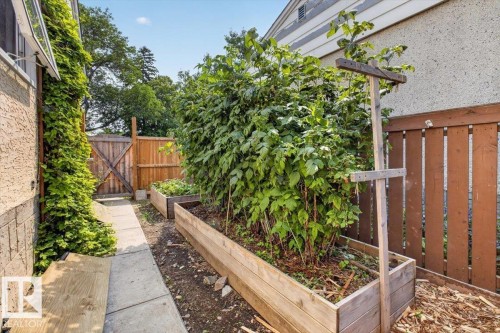Landscaped side yard featuring multiple raised garden beds, a concrete pathway, a privacy fence, and a wooden gate - 11934 43 Street Nw, Edmonton, AB - Outdoor