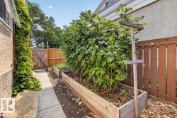 Landscaped side yard featuring multiple raised garden beds, a concrete pathway, a privacy fence, and a wooden gate - 