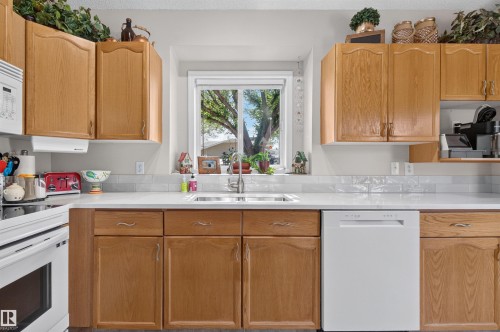 19 Desmarais Crescent, St. Albert, AB - Indoor Photo Showing Kitchen With Double Sink