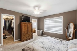 Carpeted bedroom featuring a ceiling fan, a window with horizontal blinds, a walk-in closet, and an entry to a bathroom - 