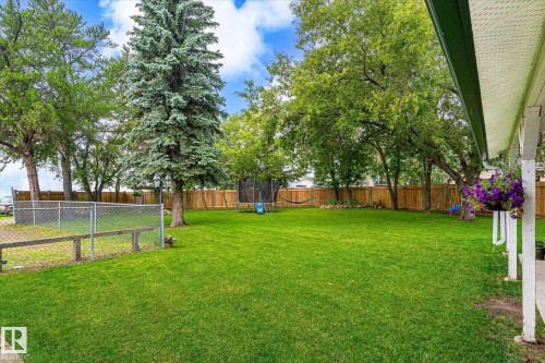 Expansive green lawn framed by mature trees - 4921 47 Avenue, Legal, AB - Outdoor With Backyard