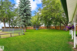 Expansive green lawn framed by mature trees - 