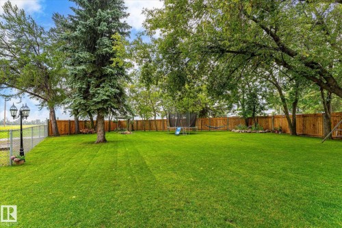 Expansive green lawn surrounded by mature trees and a wood privacy fence - 4921 47 Avenue, Legal, AB - Outdoor With Backyard
