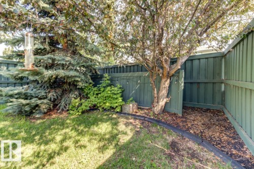 12114 16 Avenue Sw, Edmonton, AB - Outdoor