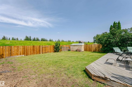 Expansive backyard featuring a wood deck, a wood privacy fence, a storage shed, and a verdant treeline beyond the property boundary - 18316 78 Avenue Nw, Edmonton, AB - Outdoor