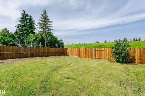 Expansive backyard with a manicured lawn, featuring a wood privacy fence and integrated gate - 18316 78 Avenue Nw, Edmonton, AB - Outdoor