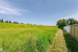 Expansive green space featuring a mown path, mature trees, and a combination wood and chain-link fence - 