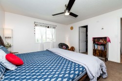 Bedroom featuring a ceiling fan with integrated lighting, a window with white trim, and neutral-toned carpeting - 
