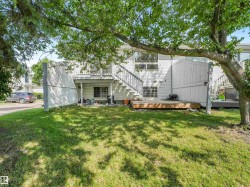 Expansive green lawn with mature tree providing shade - 