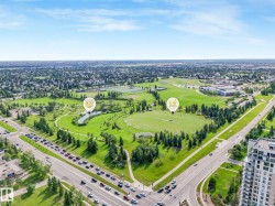 Expansive green spaces featuring walking paths, varied tree coverage, open fields, and a tranquil pond - 