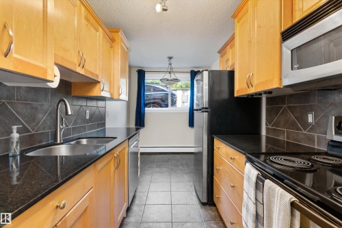 #102 10720 84 Av Nw, Edmonton, AB - Indoor Photo Showing Kitchen With Double Sink