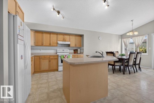 2918 33 Street Nw, Edmonton, AB - Indoor Photo Showing Kitchen With Double Sink