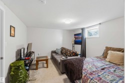 Carpeted room featuring light gray walls, a flush-mount ceiling light fixture, and a single window with blinds - 