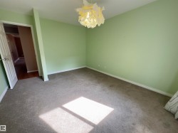 Spacious room featuring light green walls, a contemporary ceiling light fixture, and plush carpeting - 