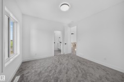 Carpeted room with a ceiling-mounted light fixture and a single window - 