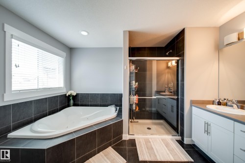 6305 167A Avenue Nw, Edmonton, AB - Indoor Photo Showing Bathroom
