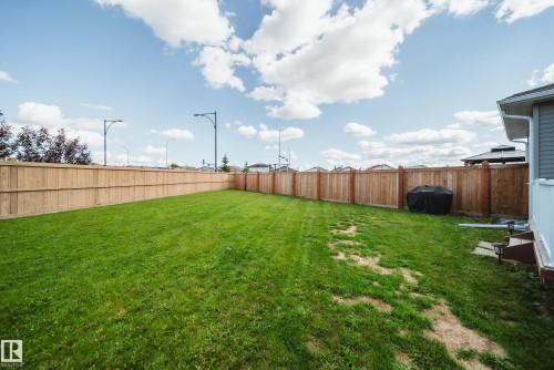 6305 167A Avenue Nw, Edmonton, AB - Outdoor With Backyard