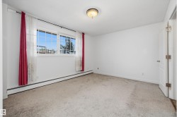 Bright room featuring a large multi-pane window, neutral carpet flooring, and a flush-mount ceiling light fixture - 