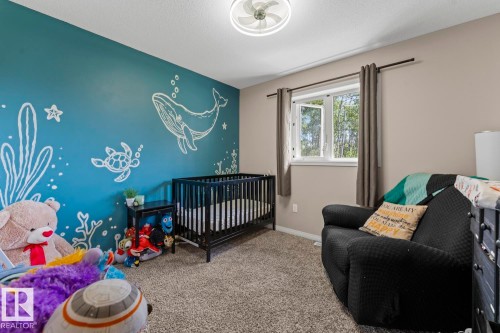 60020 Range Road 460, Rural Bonnyville M.D., AB - Indoor Photo Showing Other Room