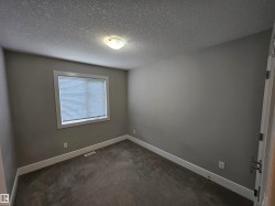 Neutral gray painted walls with white trim, dark gray carpet flooring, and a single window with white blinds - 