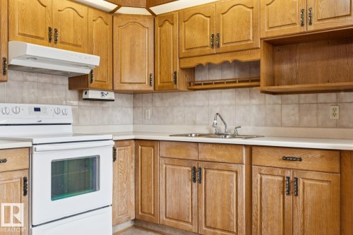 198 Tudor Lane Nw, Edmonton, AB - Indoor Photo Showing Kitchen With Double Sink