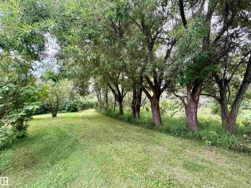 54046 Rge Road 213, Rural Strathcona County, AB - Outdoor