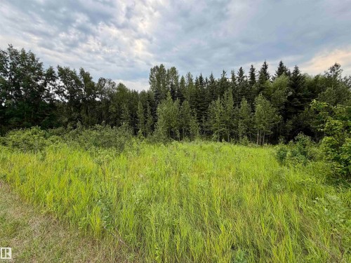 54046 Rge Road 213, Rural Strathcona County, AB - Outdoor With View