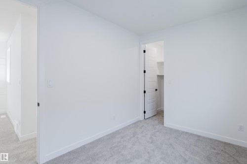 Light gray carpeting complements white walls and trim - 8728 182 Avenue Nw, Edmonton, AB - Indoor Photo Showing Other Room