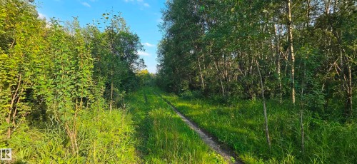 Sw-36-61-19-4 (S Of Long Lake), Rural Thorhild County, AB 