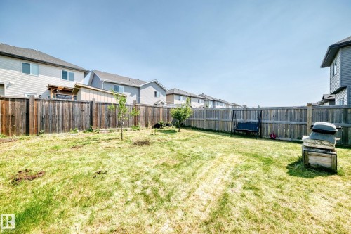 Expansive rear yard featuring natural grass, wood fencing, and several young trees - 2923 16 Street Nw, Edmonton, AB - Outdoor With Exterior