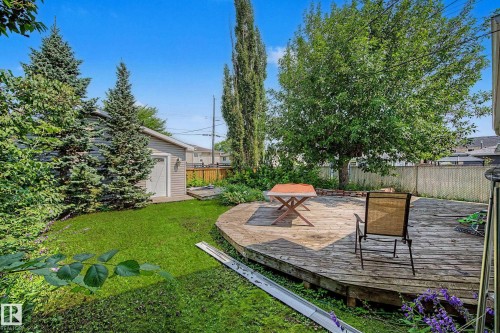 Expansive backyard featuring a curved wood deck, manicured lawn, detached garage with siding exterior, mature evergreen trees, and established deciduous foliage - 9516 129A Avenue Nw, Edmonton, AB - Outdoor