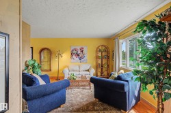 Living space featuring hardwood-finish flooring, a textured ceiling, and a large multi-pane window - 