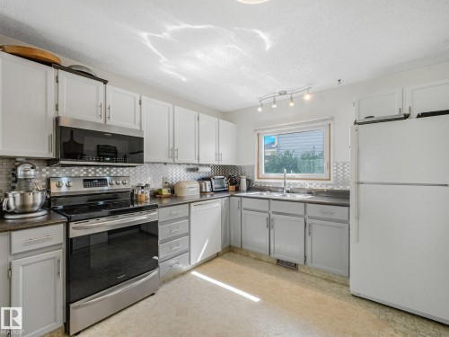 3527 41 Avenue Nw, Edmonton, AB - Indoor Photo Showing Kitchen With Double Sink