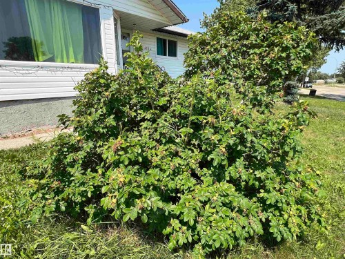 4764 43 St., Drayton Valley, AB - Outdoor